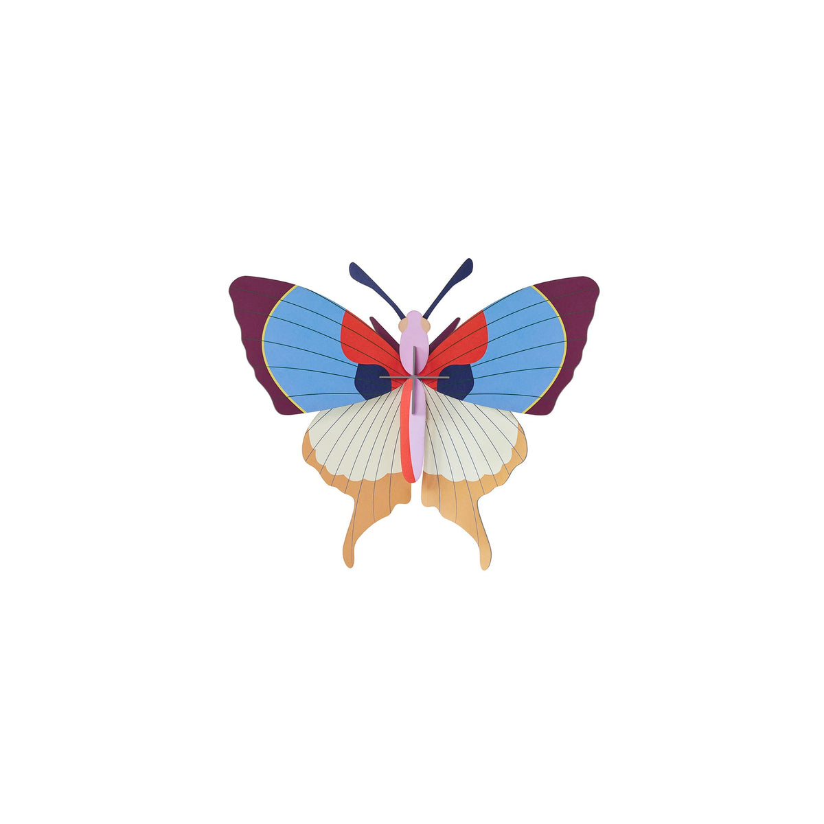 Plum Fringe Butterfly