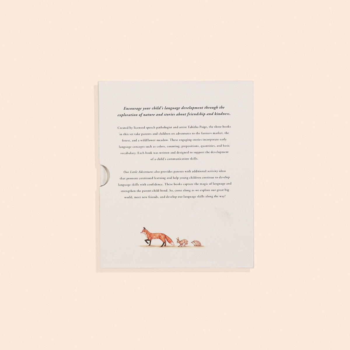 Paige Tate & Co. - Our Little Adventures Box Set for Kids (3 Board Books)