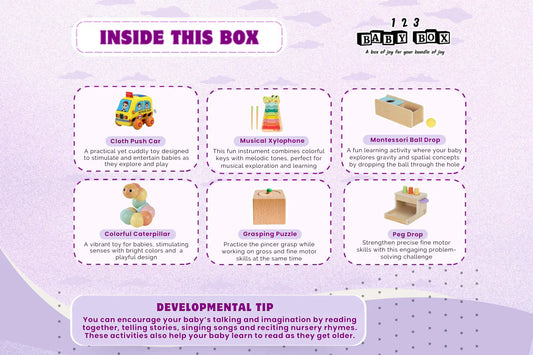 123 Baby Box - 11-12 Months Montessori Educational Box