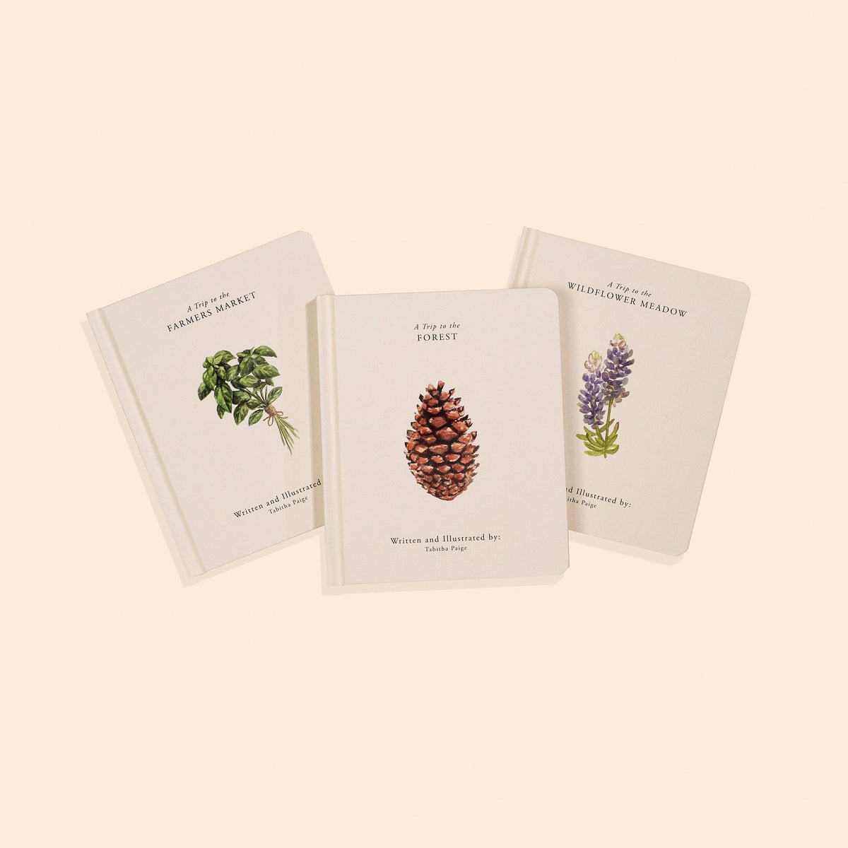 Paige Tate & Co. - Our Little Adventures Box Set for Kids (3 Board Books)