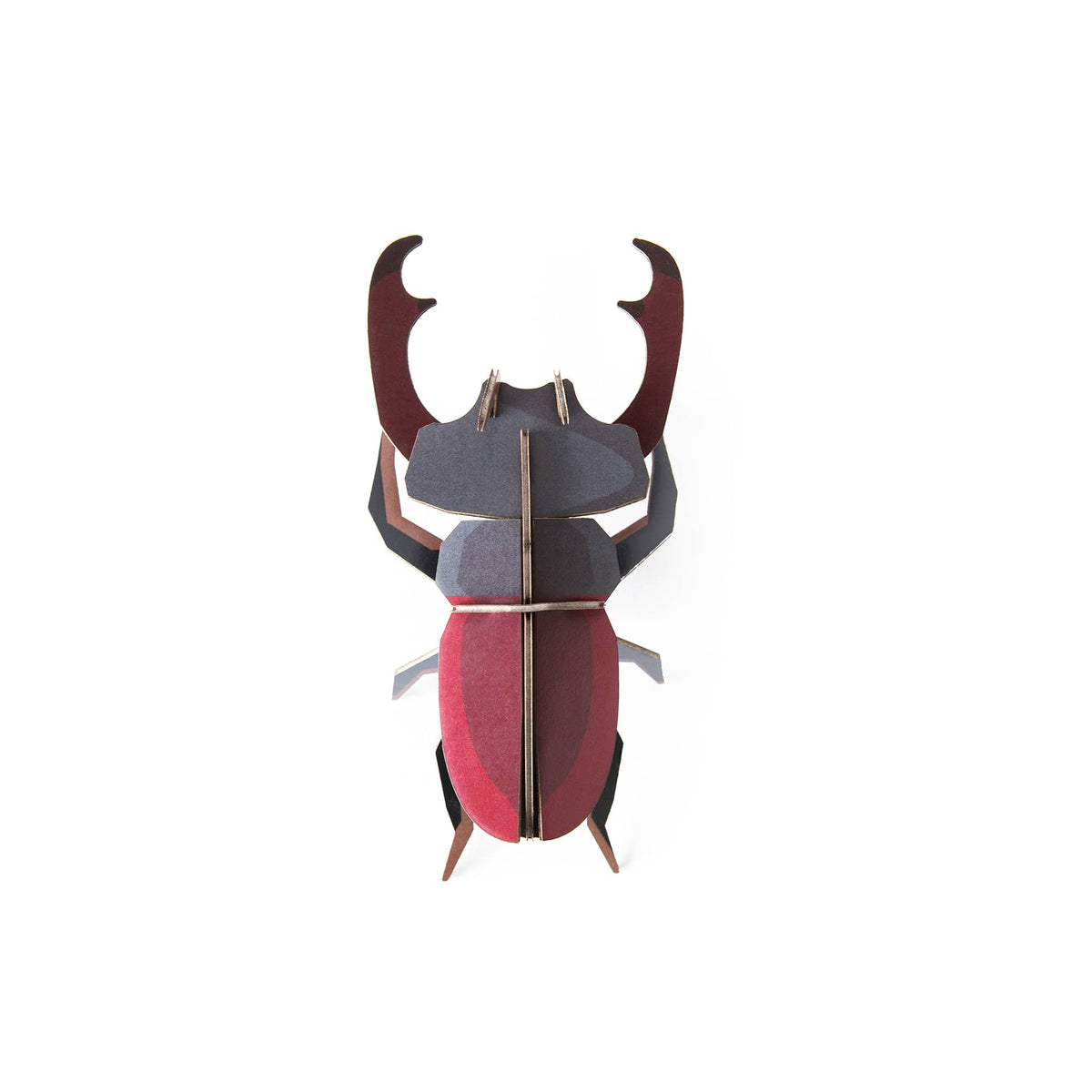 Stag Beetle