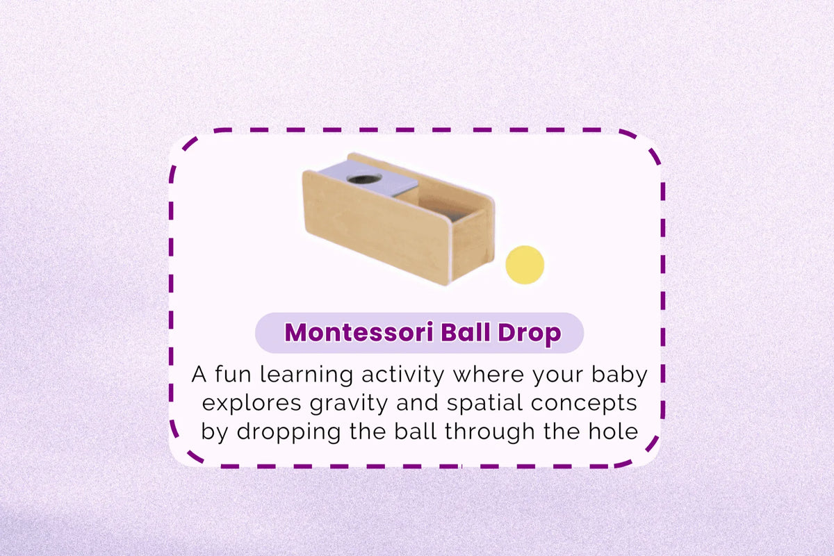 123 Baby Box - 11-12 Months Montessori Educational Box