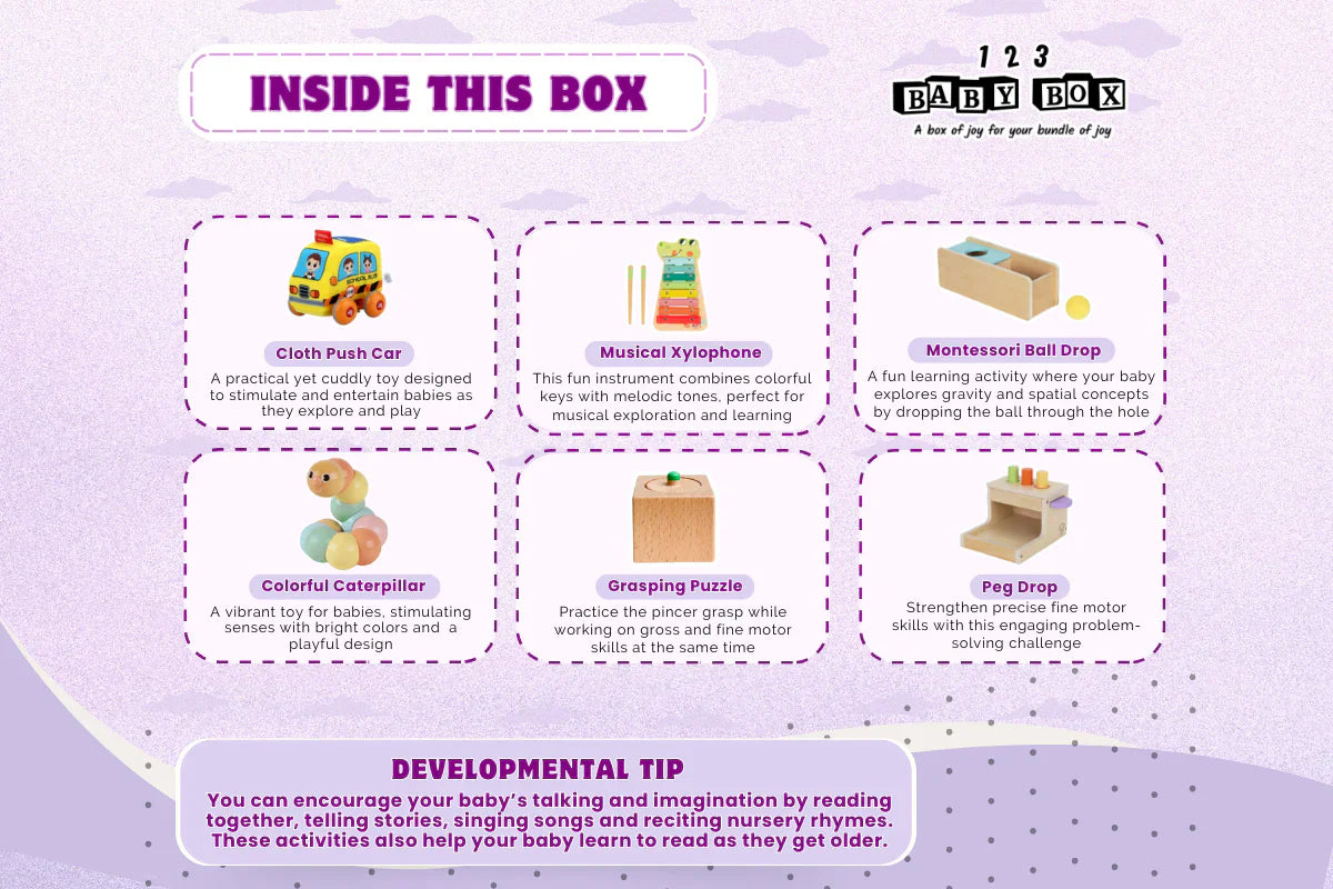 123 Baby Box - 11-12 Months Montessori Educational Box